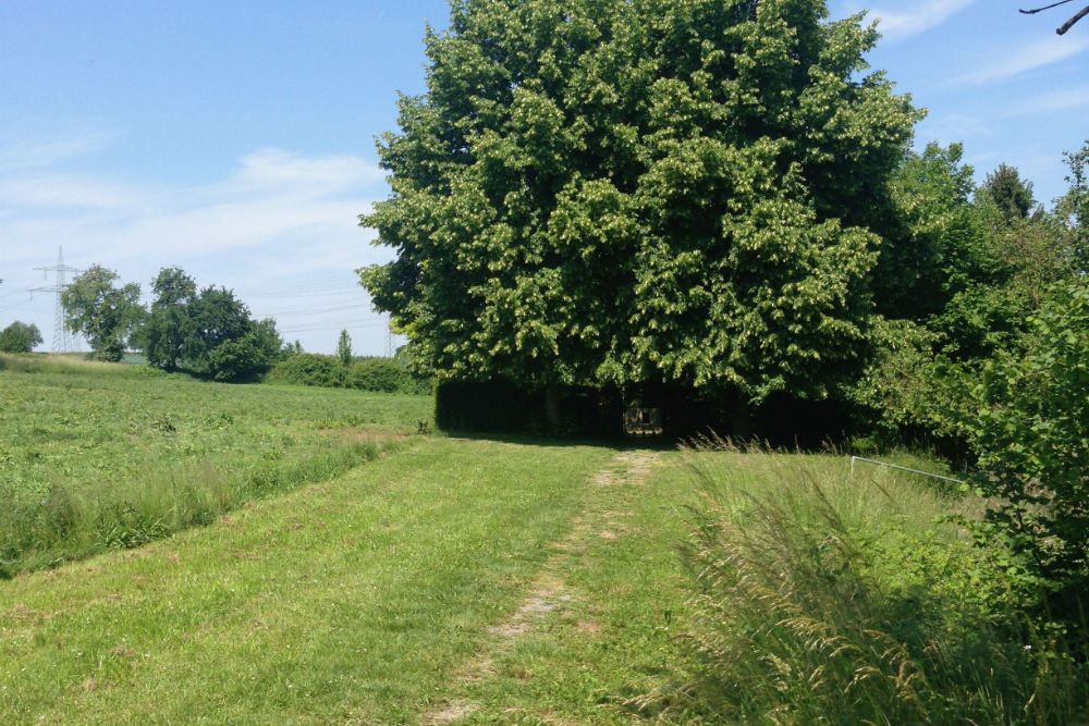 Cemetery Concentration Camp Neckargartach