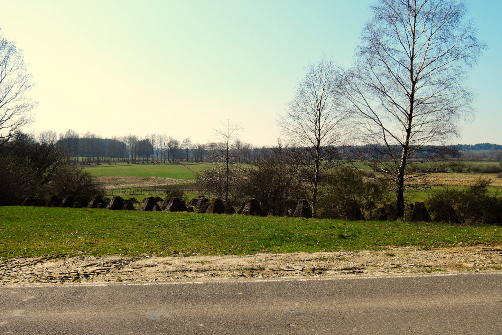 Westwall - Tank Barrier Bickerath #5