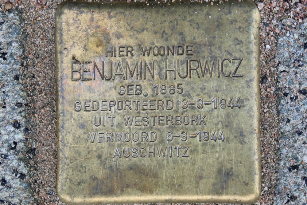 Stumbling Stone Koningin Wilhelminalaan 199