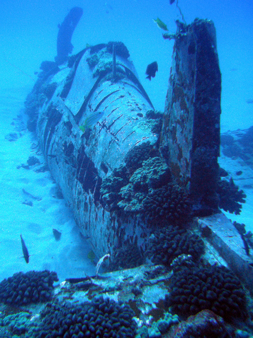 Crash Site & Remains Vought F4U Corsair Fighter Plane #1