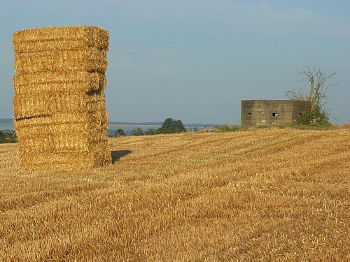 Bunker FW3/22 Durnford