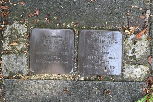 Stolpersteine Rodenbachlaan 24 #1