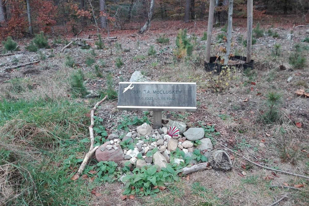 Monument Sgt. F.A. McCluskey #2