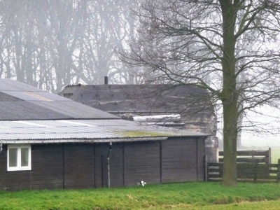 Group Shelter Type P Oud-Zuilen #1