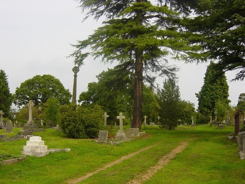 Commonwealth War Graves Paines Lane Cemetery