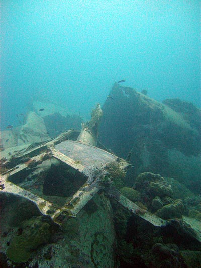 Crash Site & Remains Mitsubishi G4M Bomber #2