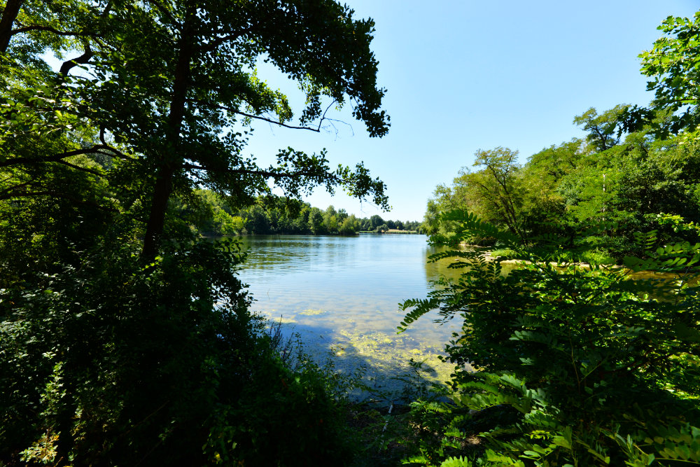 Silbersee Nürnberg #1
