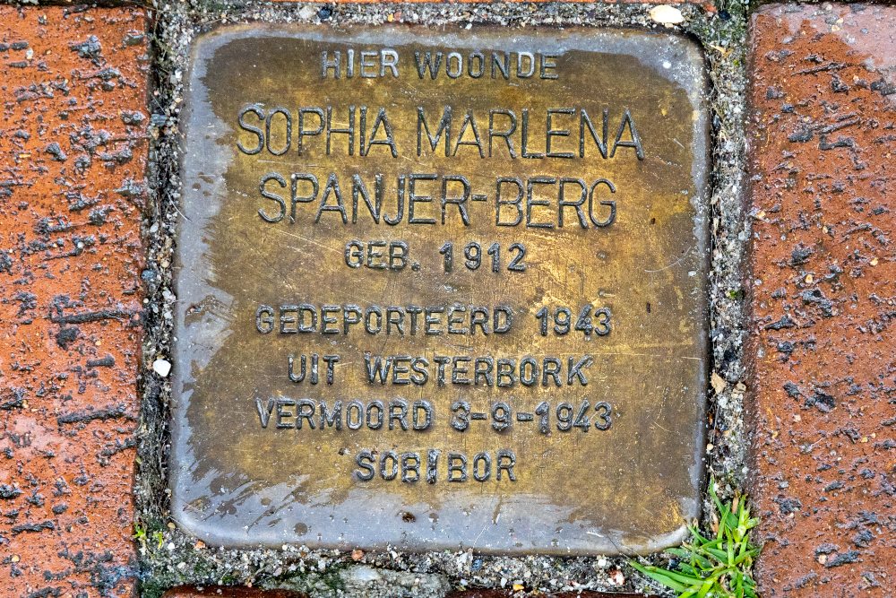 Stolpersteine Grotestraat 5 #3