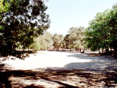 Fusilladeplaats Loonse en Drunense Duinen #2