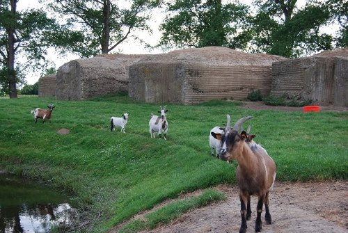 British Bunkers Rijselseweg #3