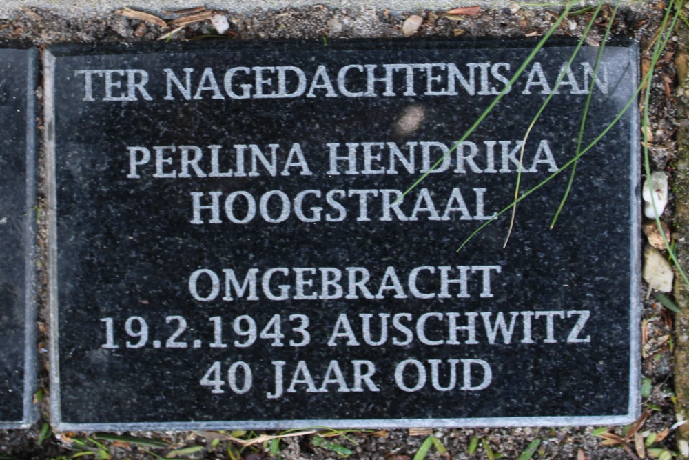Herdenkingsstenen Van Galenstraat 7 #2