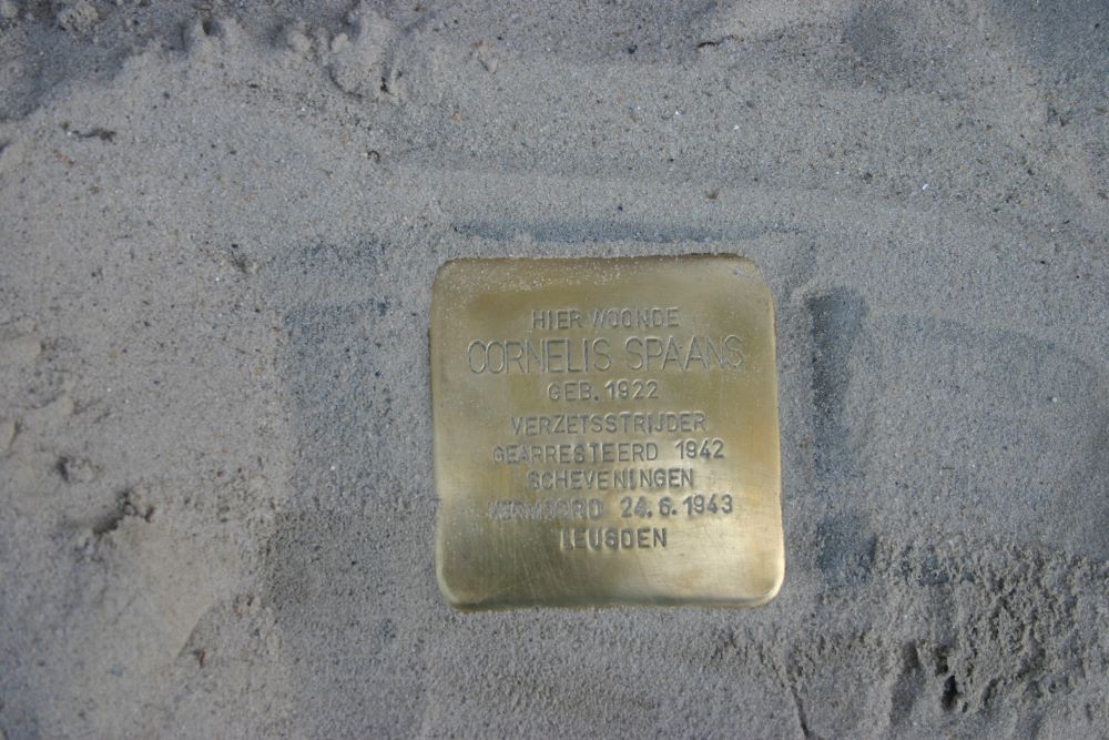 Stolperstein Kraneweg 60a