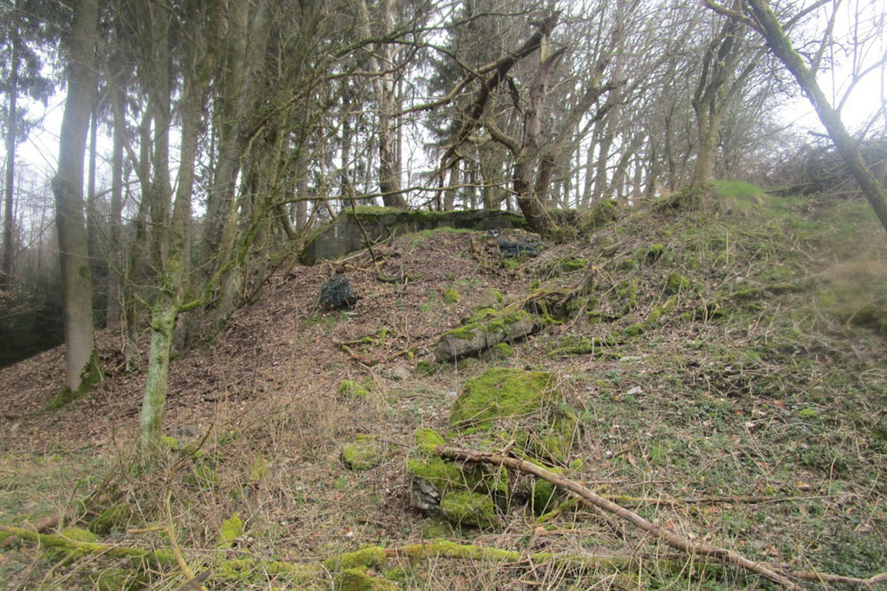 Westwall - Bunker Remains #3