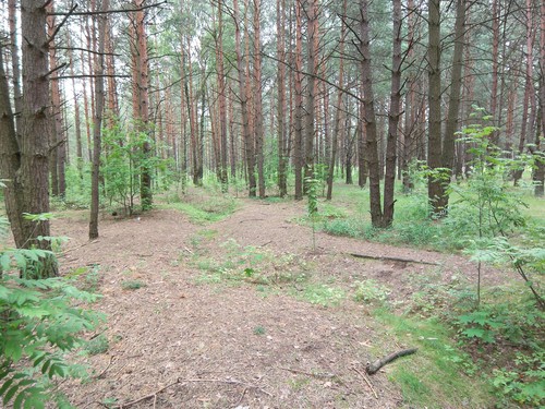 German Trenches Svetlogorsk #3