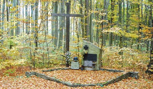 Former Field Grave German Soldier Hardegg #1