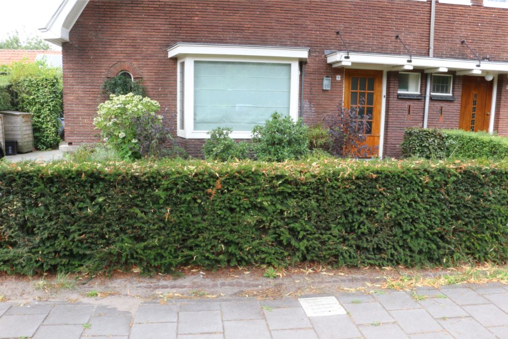 Memorial Stone Van Berestijnstraat 8 #3