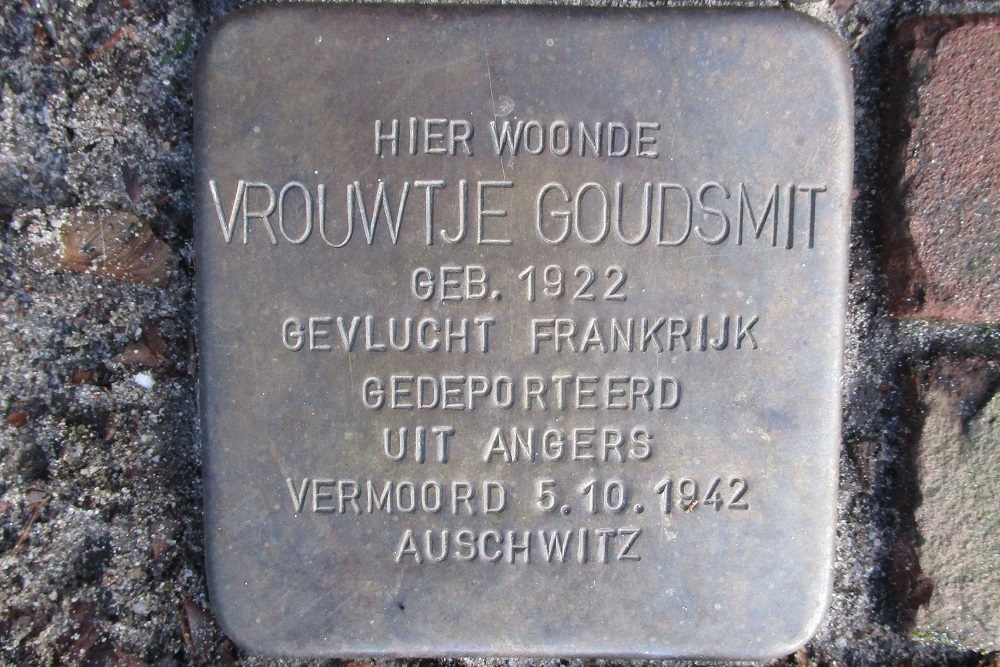 Stumbling Stones Van Ostadelaan 6 #4