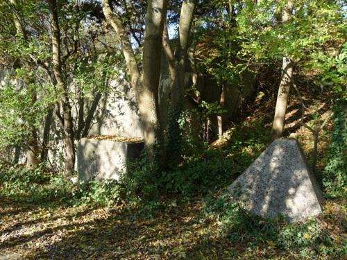 Westwall - Wegversperring Schneebergweg