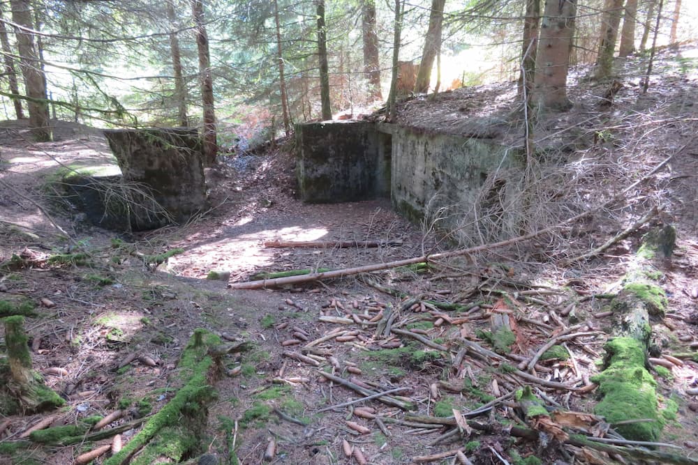 Geschutsbunkers Col du Donon