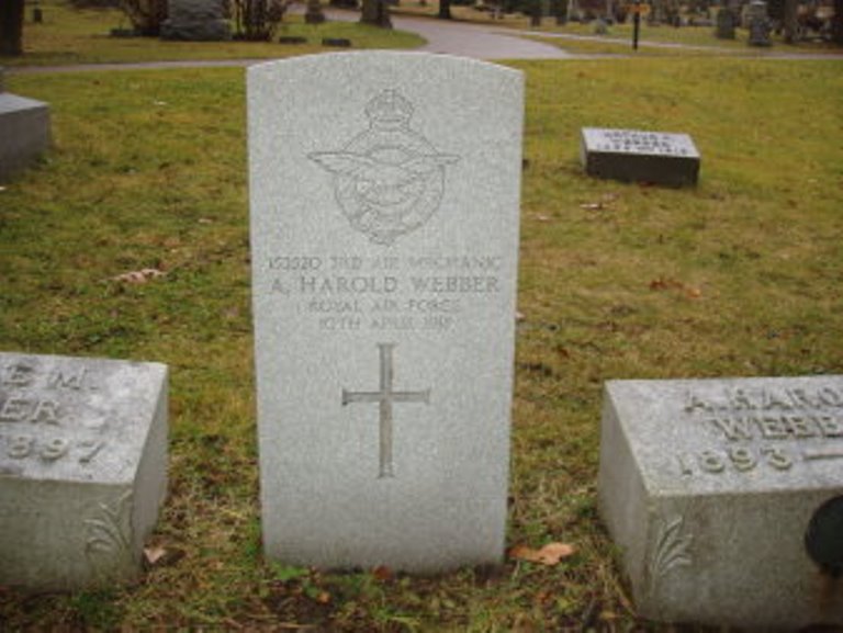 Commonwealth War Grave Maple Hill Cemetery