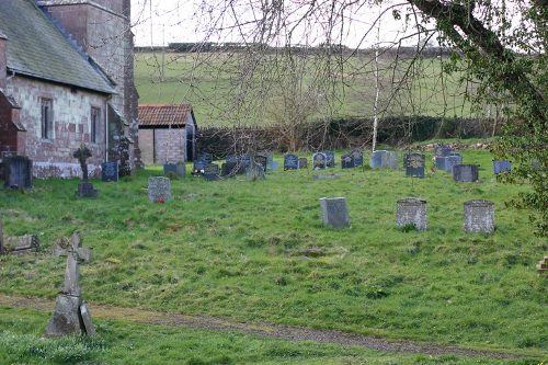 Oorlogsgraven van het Gemenebest St. David Churchyard #1