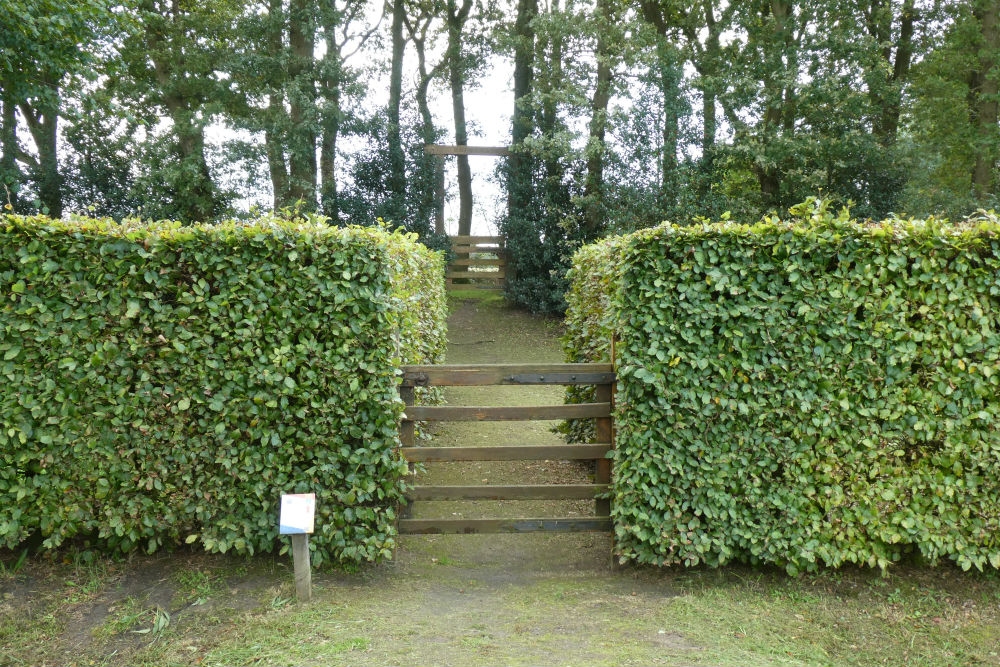 Memorial Jewish Cemetery Noordwolde #5
