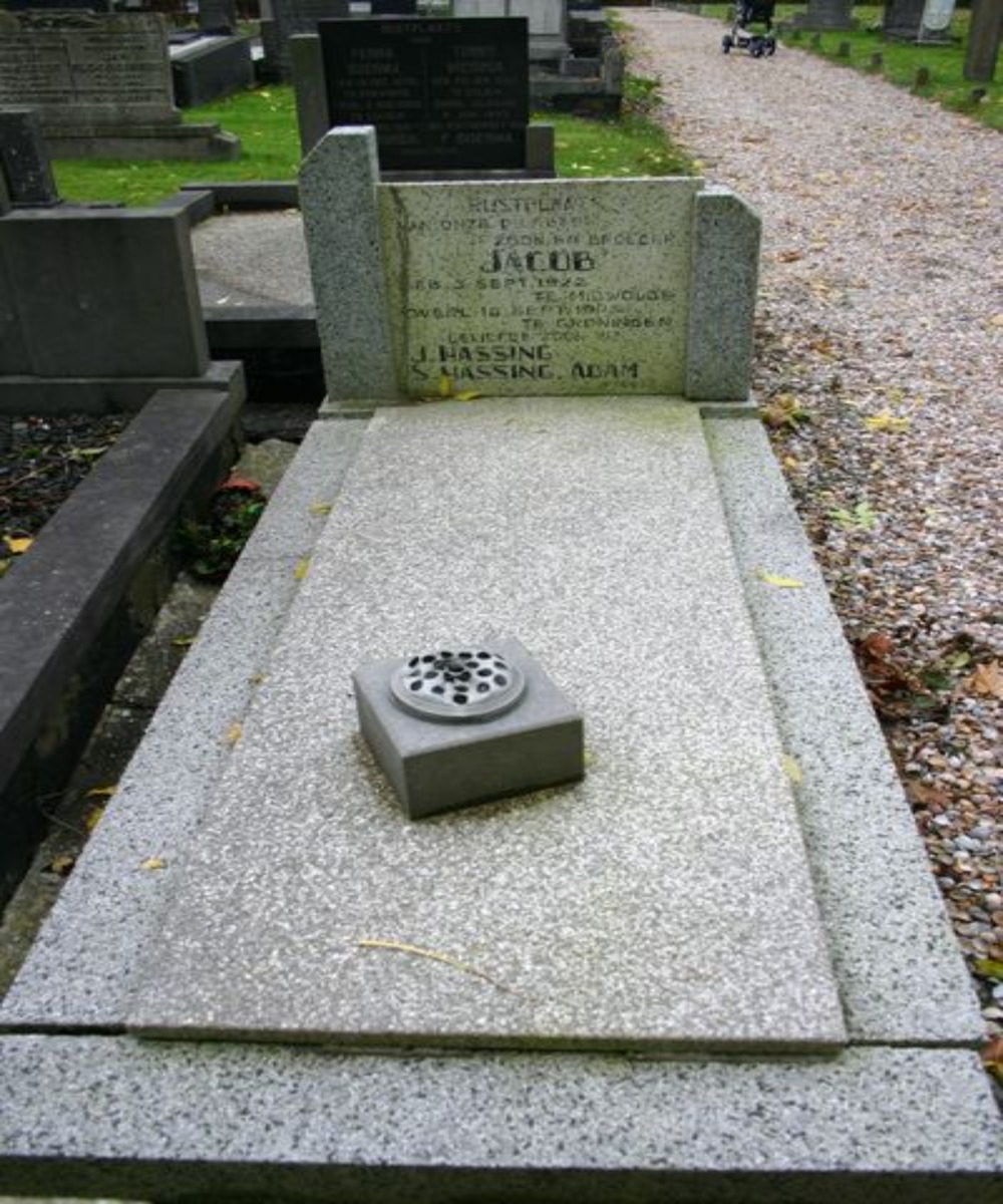 Dutch War Grave Zijldijk #2