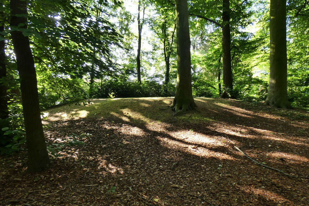 Heuvel Voor Brandstofbevoorrading Deurne