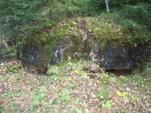 Stalin Line - Casemate Vaskelovo (F)