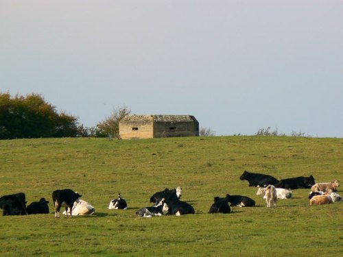 Bunker FW3/22 Purton #1