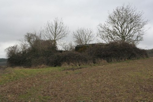 Bunker FW3/28 Theale #1