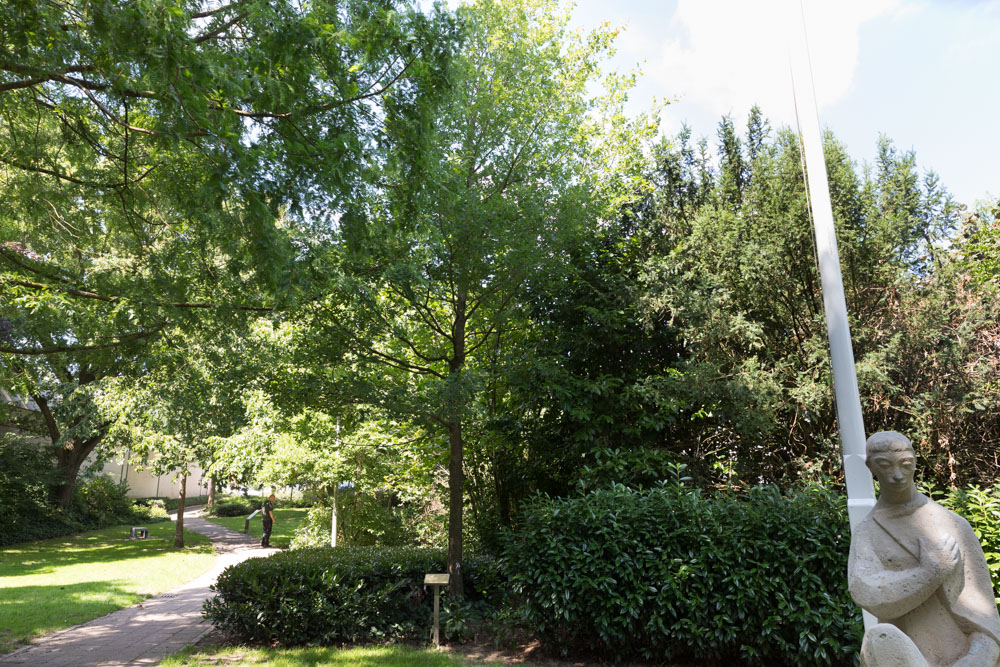 Memorial Tree Goor