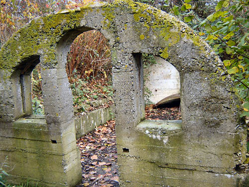 Remains British Shelter #1