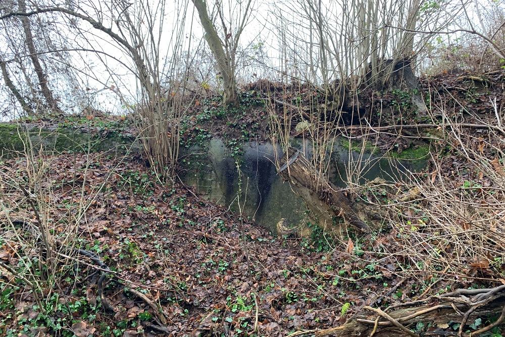 Bunker BV 17 Juslenville #3