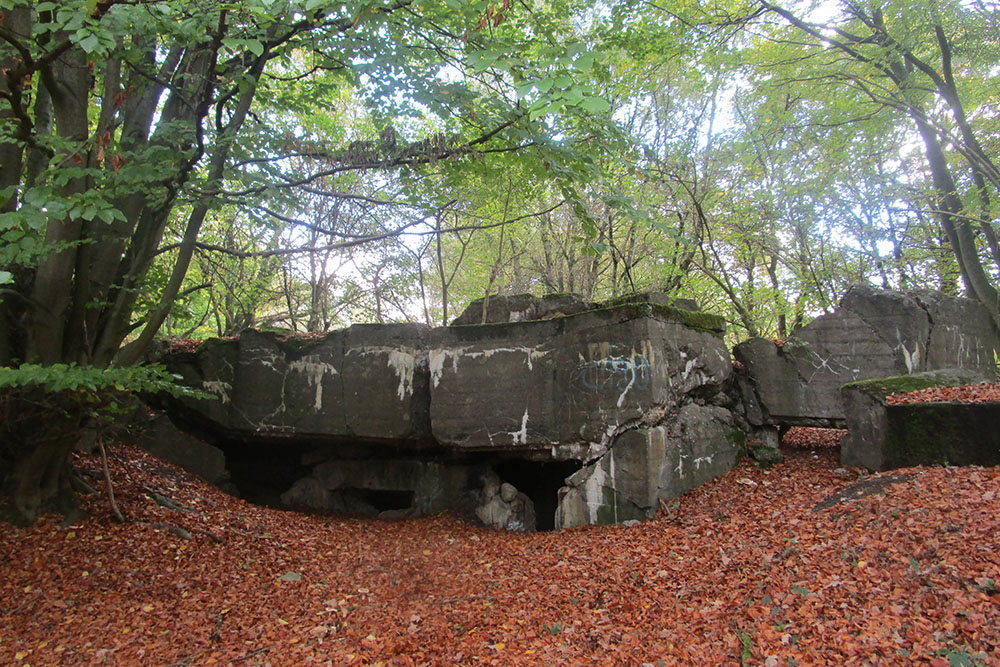 Westwall - Remains Bunker 481 (Regalbau B, MG Schartenstand) #1