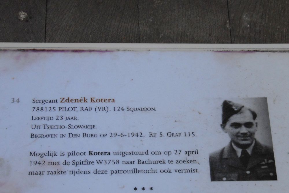 Czechoslovakian War Graves Texel #3