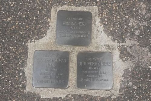 Stolpersteine Lindenstraße 4 #1