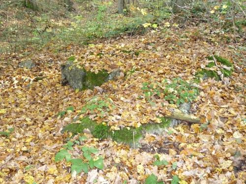 Demolished Pillbox Nr 401 A