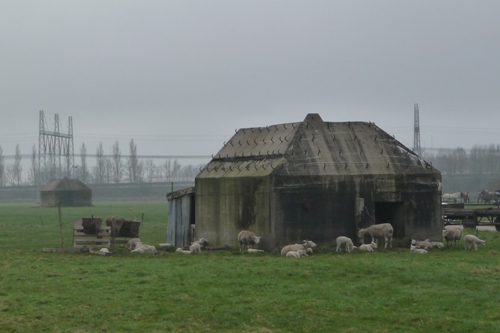 Group Shelter Type P Kocherplantsoen #2