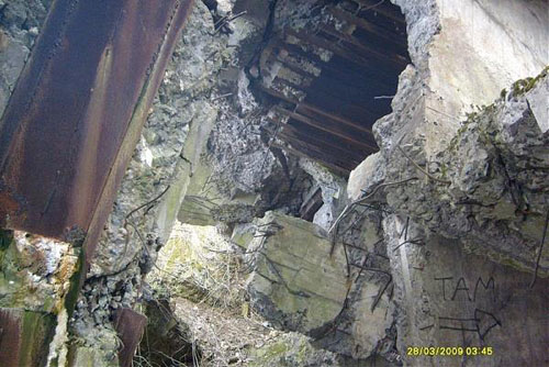 Molotov Line - Remains Casemate Sanok (G) #3