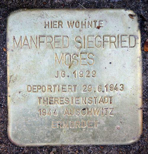 Stolpersteine Storkwinkel 8 #3