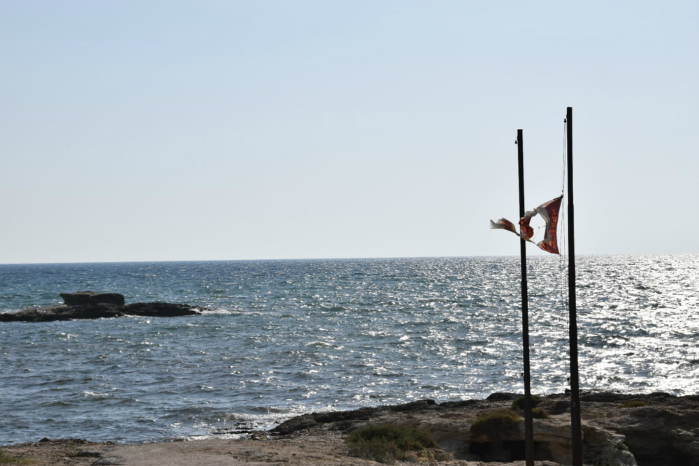 Canadian Landing Beach Bark West #3