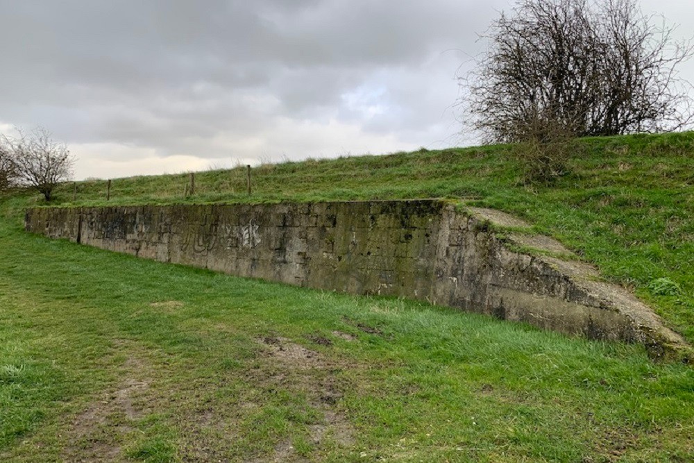 Formsteine muur