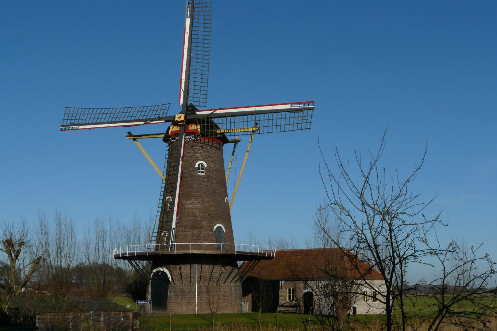 Molen Zeldenrust Hooge Zwaluwe #1