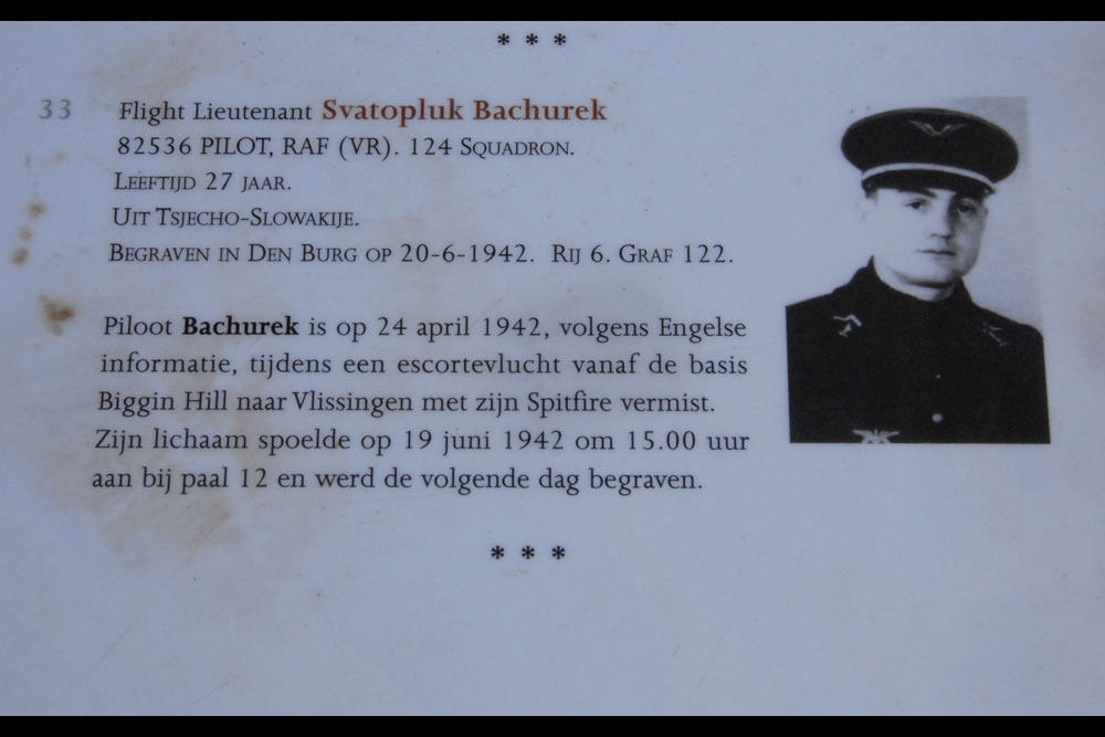 Czechoslovakian War Graves Texel #2
