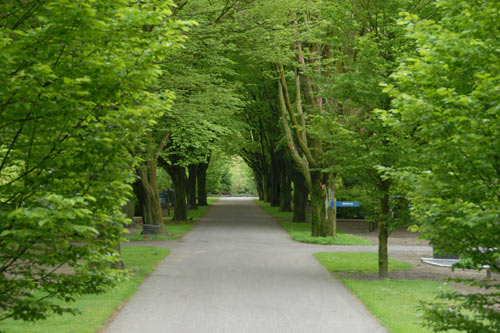 Orthen Cemetery Den Bosch #5