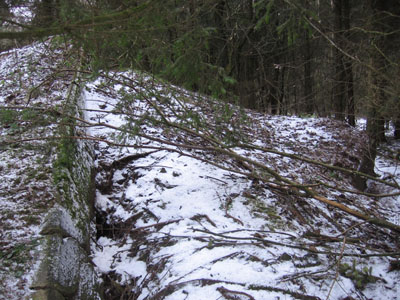 Westwall - Remains Bunker Hallschlag