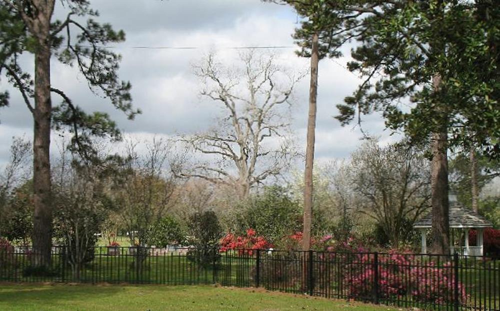 Amerikaans Oorlogsgraf Magnolia Campbell Cemetery