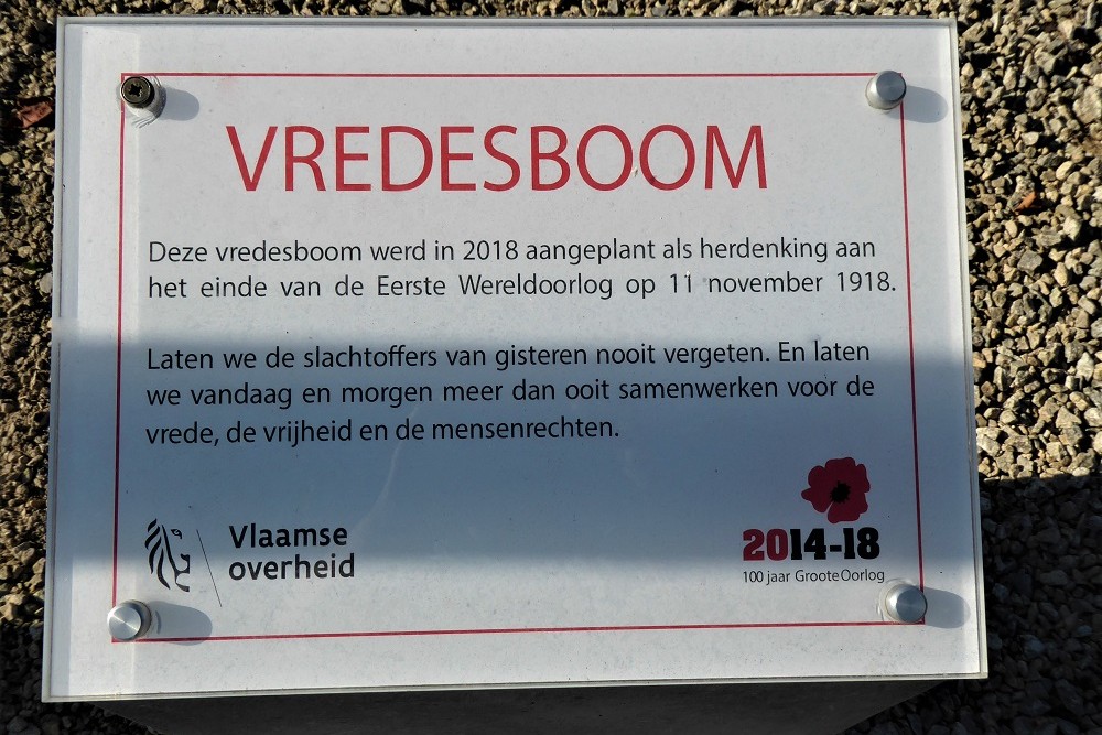 Vredesboom Stekene #2