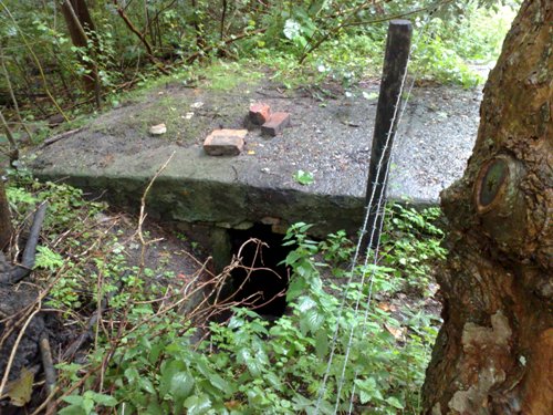 German Kitchen Bunker (Wirtschaftsbunker) Slotbos Haamstede #4